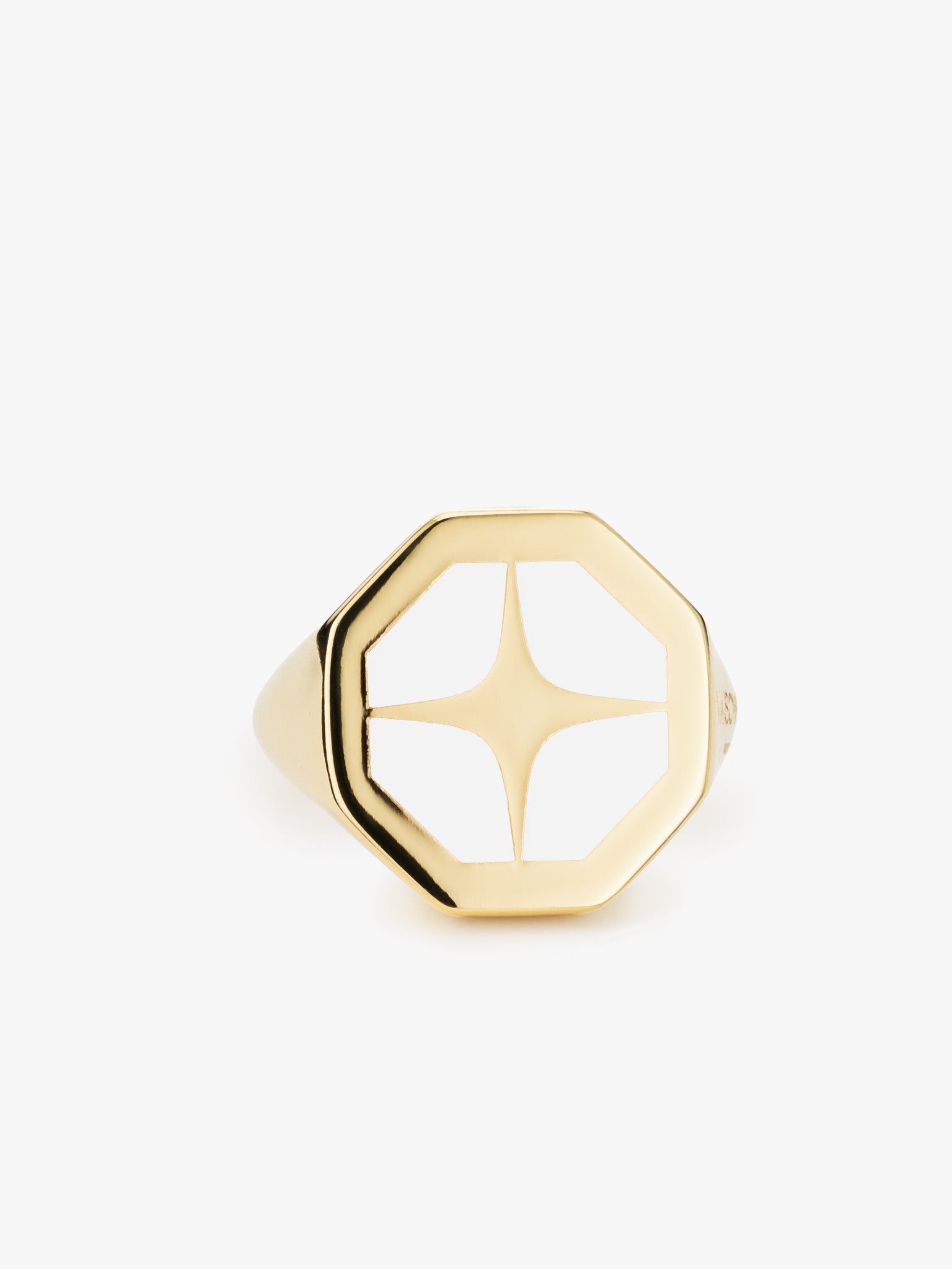 ICON ENAMEL OCTAGON SIGNET RING